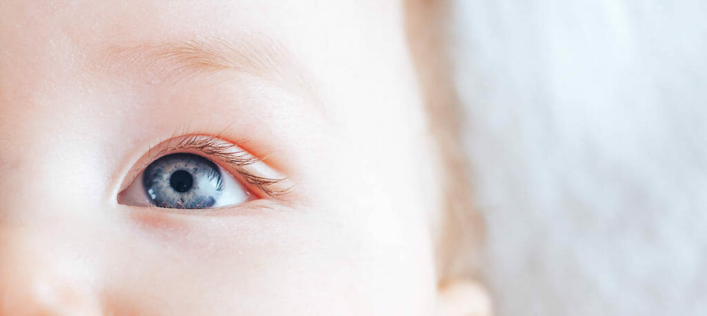 chalazion treatment