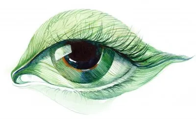 Glaucoma Dry Eyes